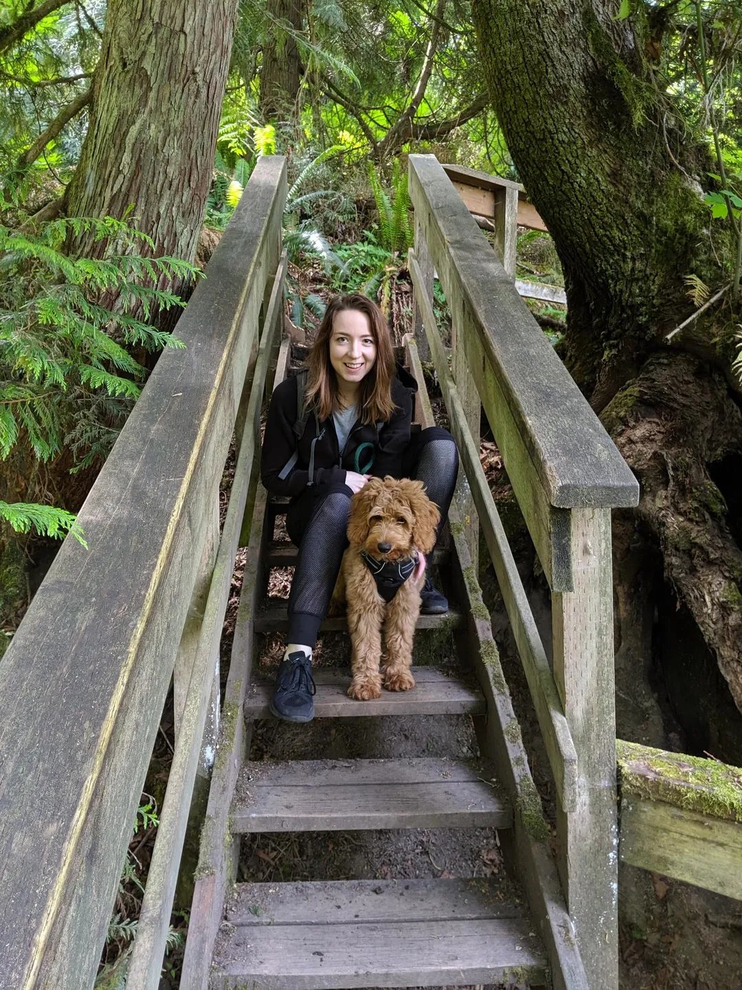 Our owner enjoying a scenic woodland walk with a dog